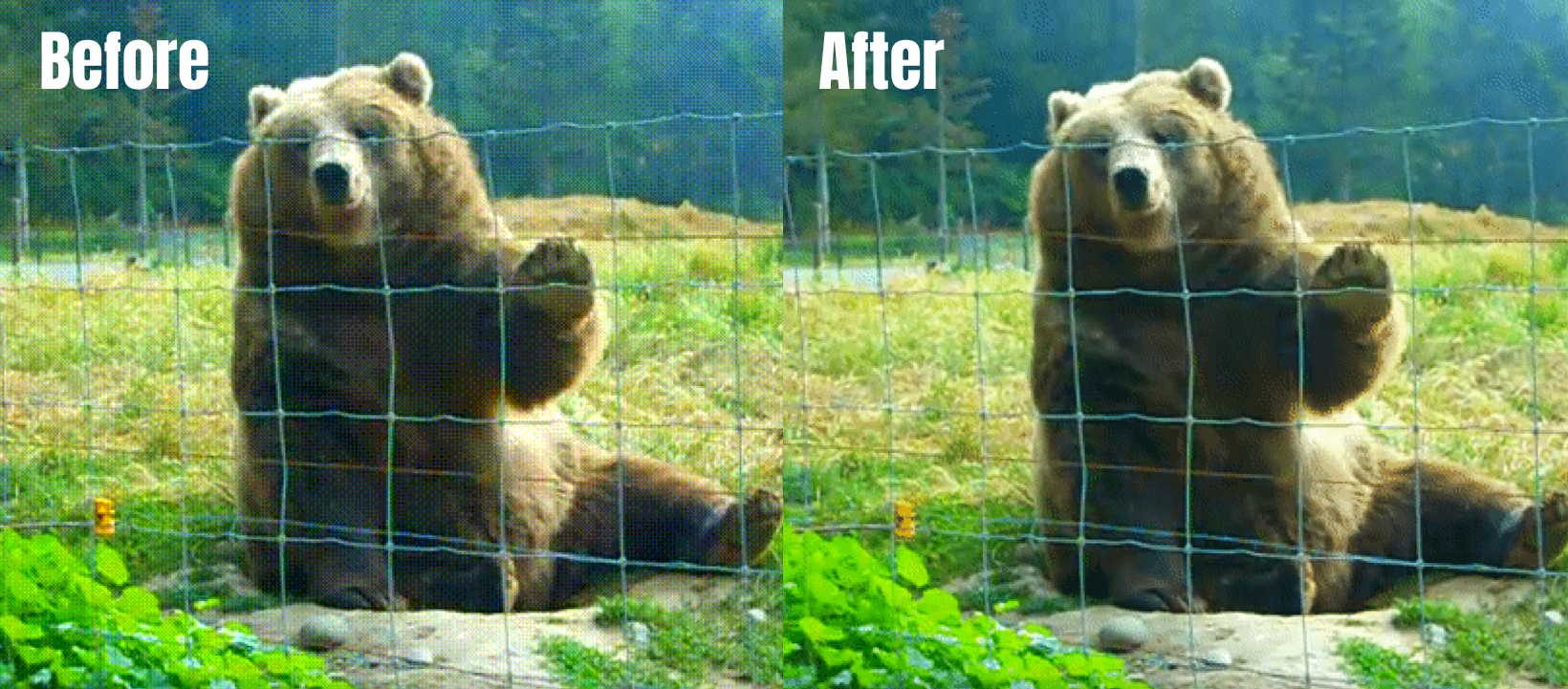 A comparison of GIFs with and without palettegen and paletteuse filters (FFmpeg tutorial).png
