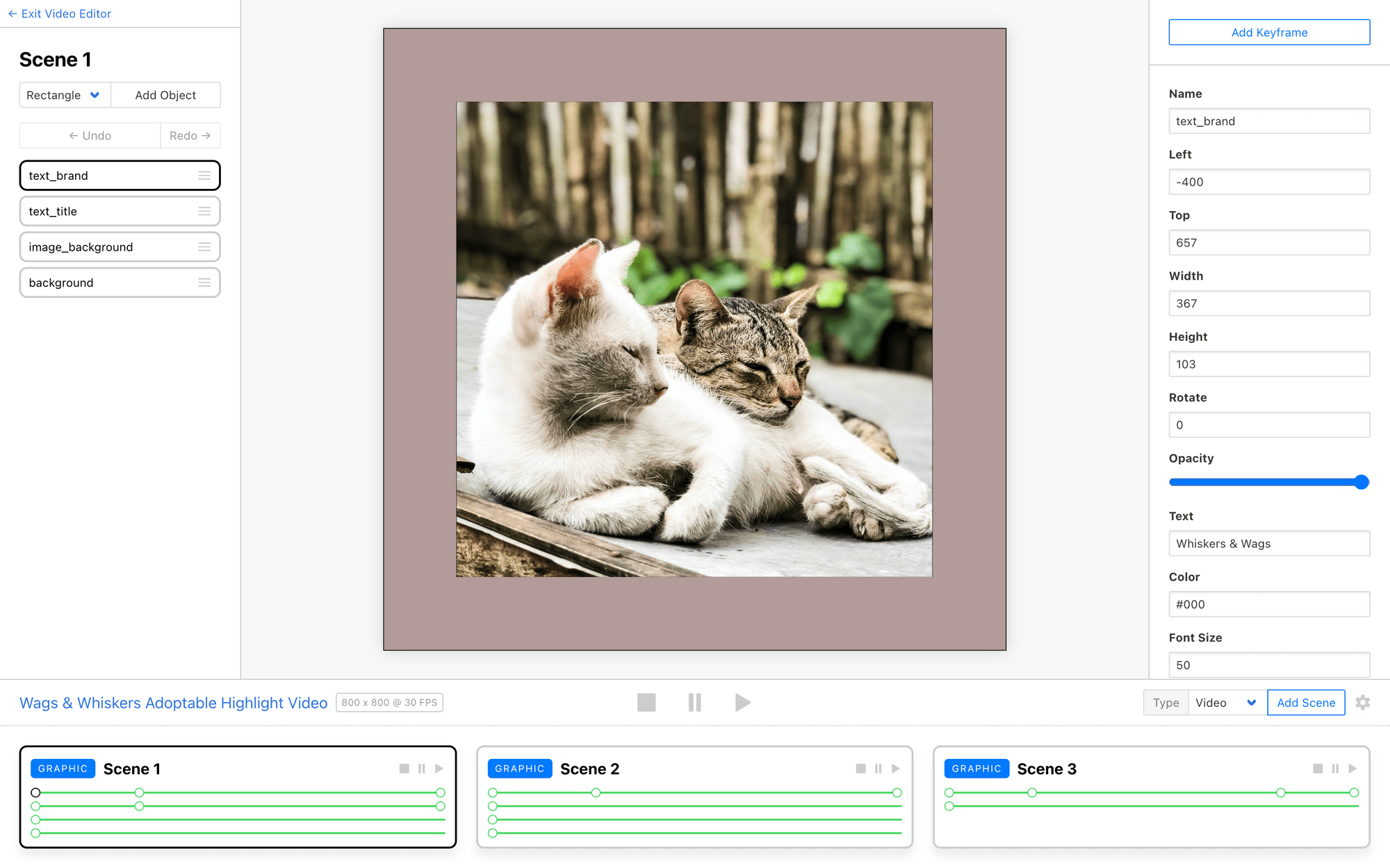 Screenshot of Clipcat template editor