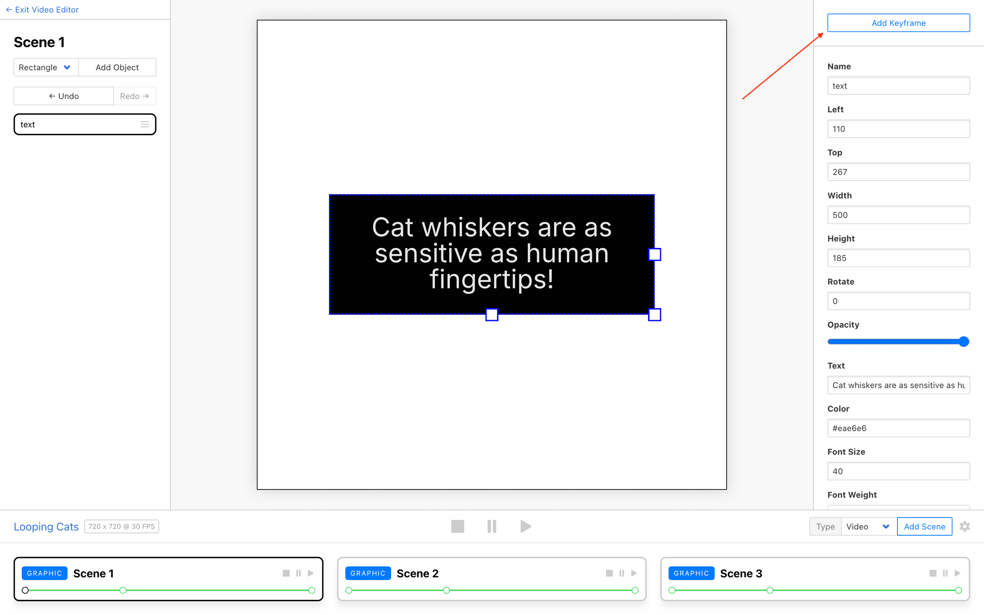 Screenshot of Clipcat editor with red arrow pointing to add keyframe