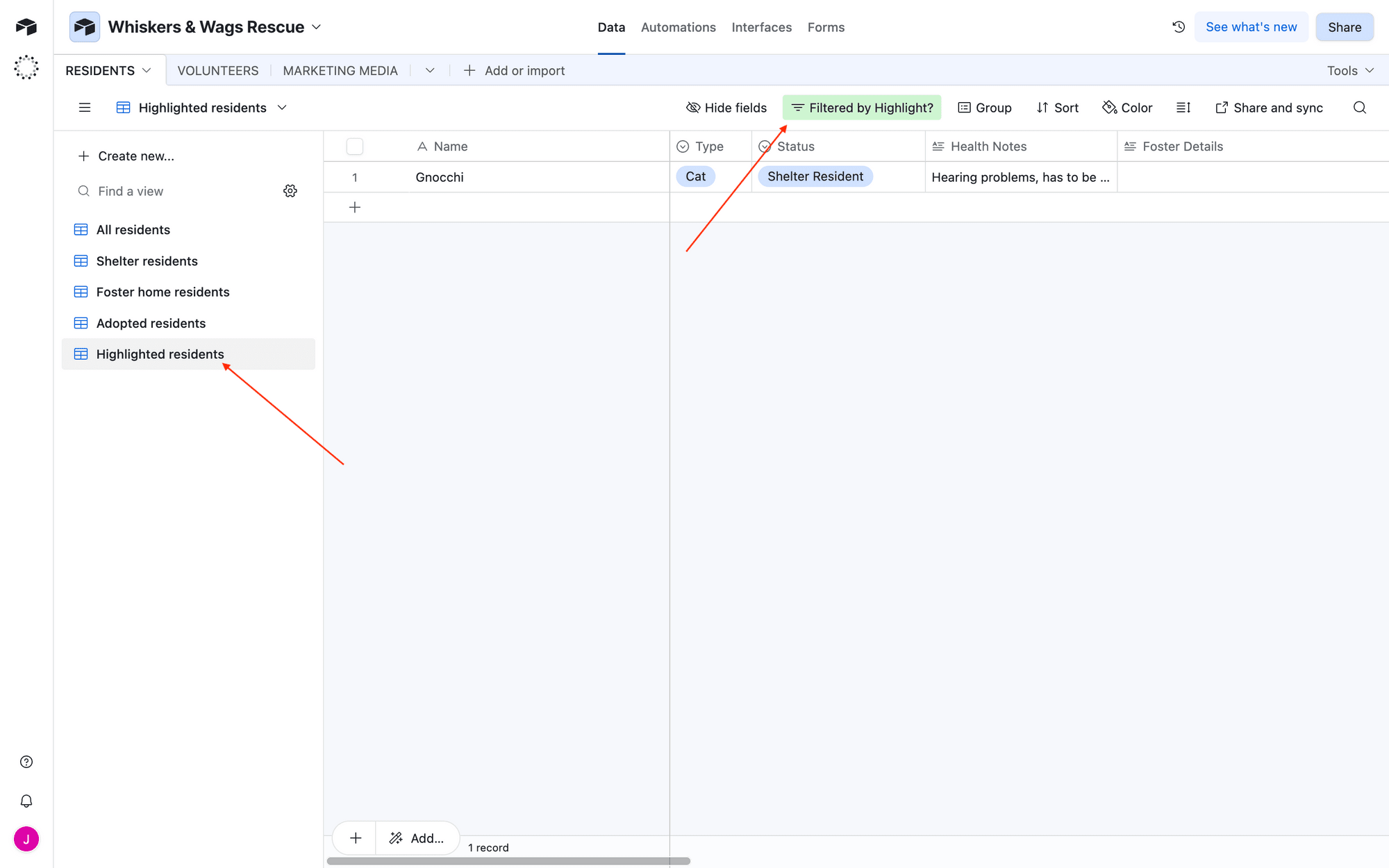 Screenshot of Airtable database with filtered view