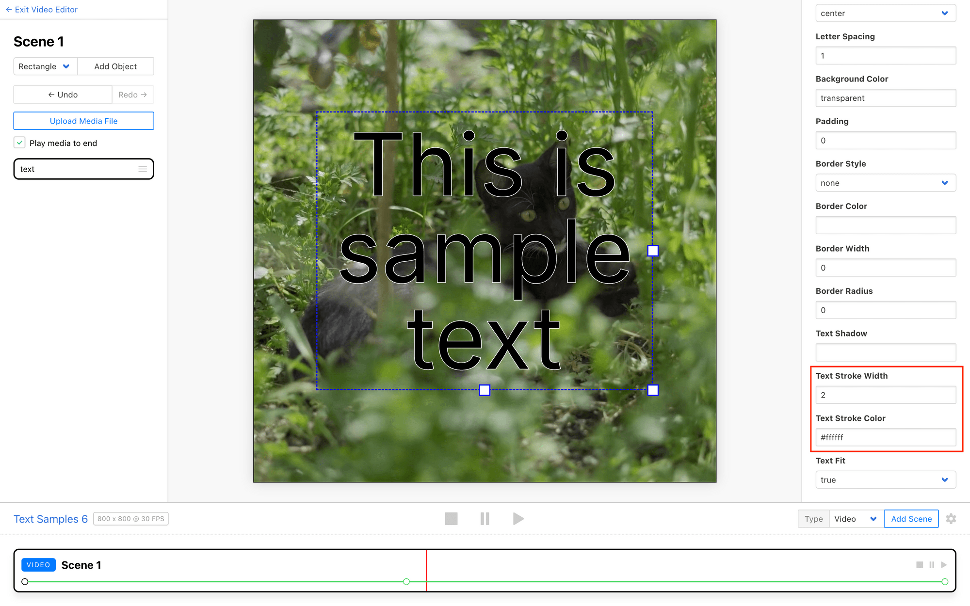 Screenshot of Clipcat editor with red outline around text stroke options