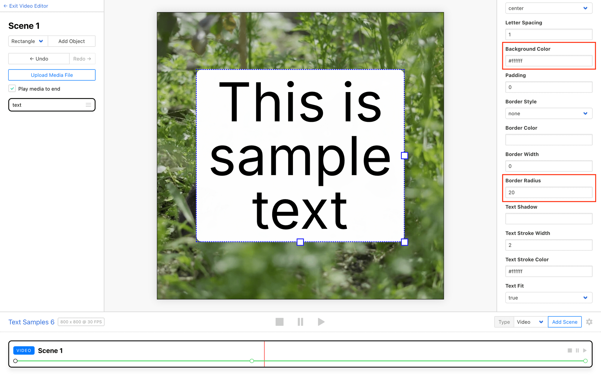 Screenshot of Clipcat editor with red outline around text background options