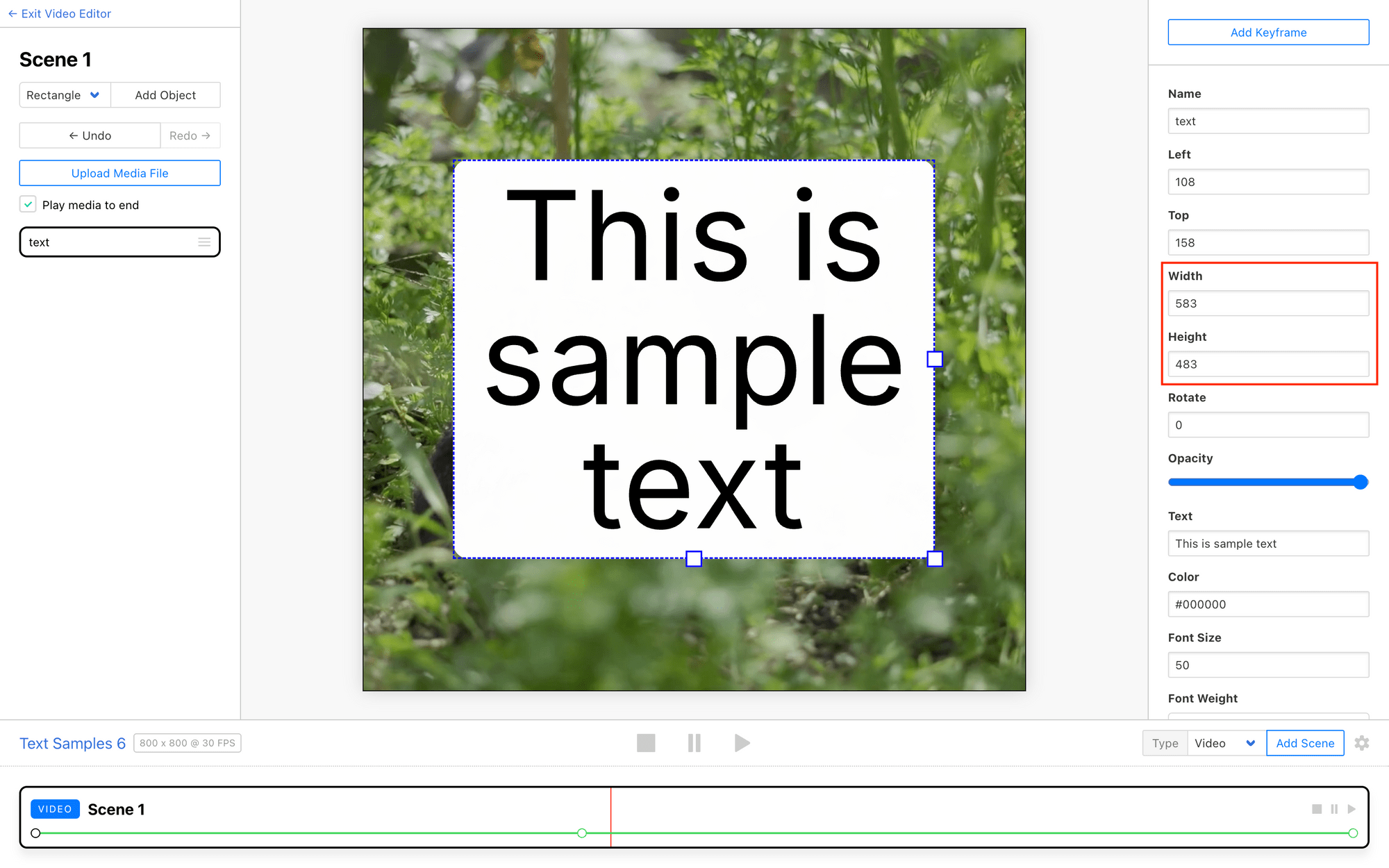 Screenshot of Clipcat editor with red outline around element size options