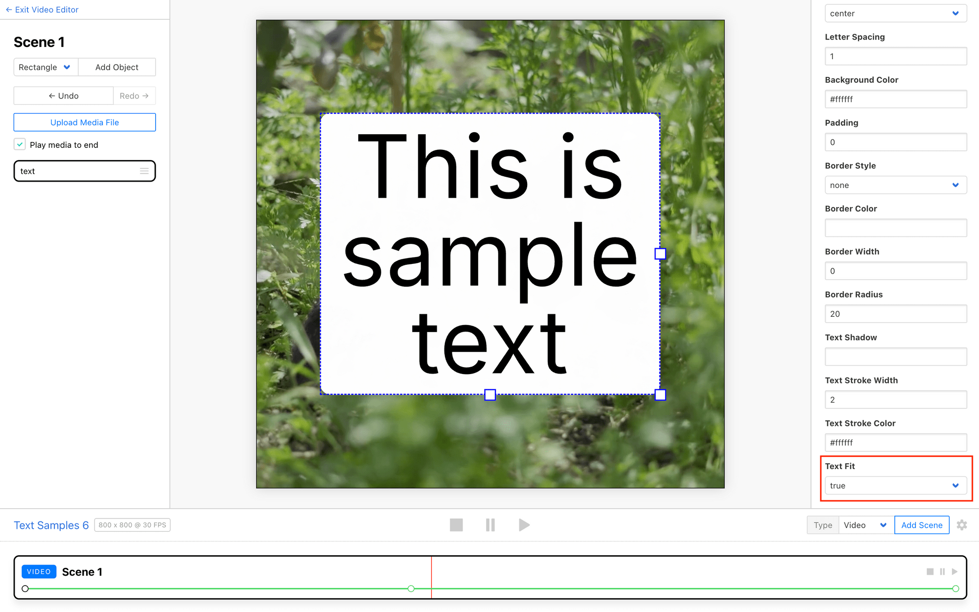 Screenshot of Clipcat editor with red outline around text fit